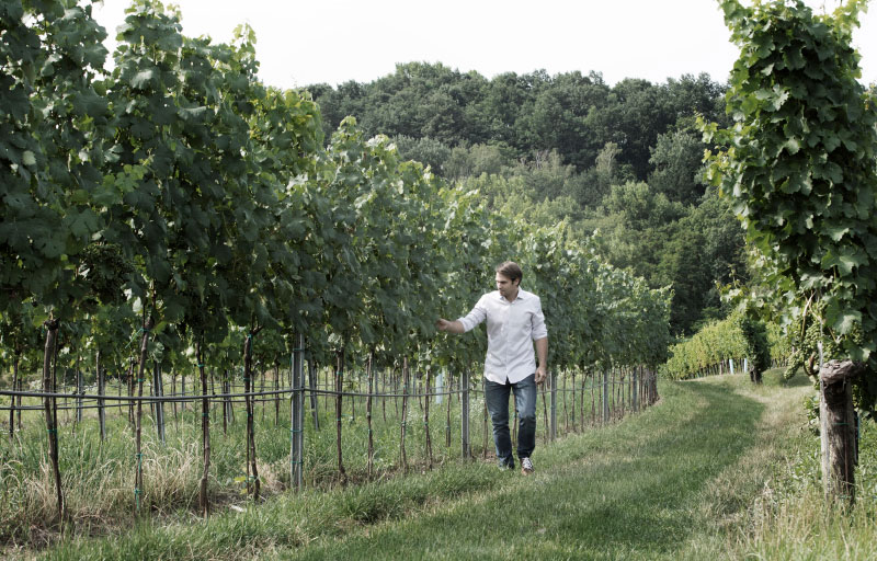 Weingut 1