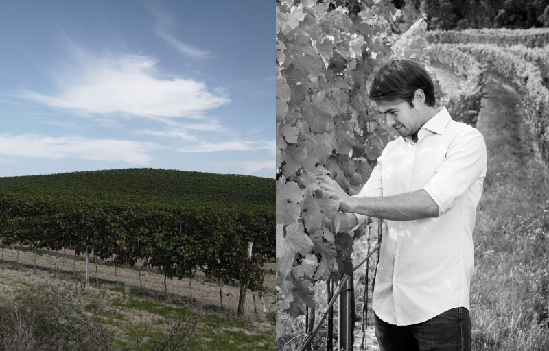 Weingut 3