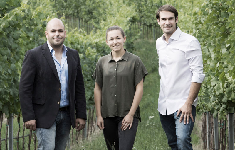 Wir 4
